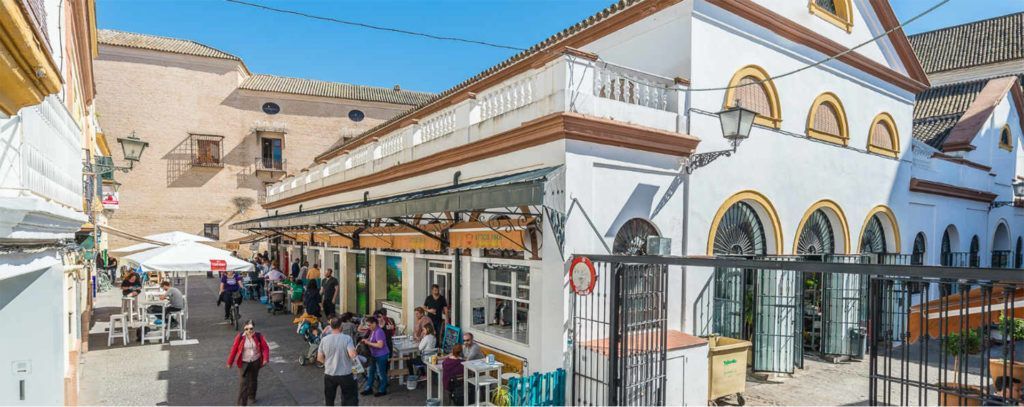 Descubre todo lo que puedes hacer en la calle Feria de Sevilla